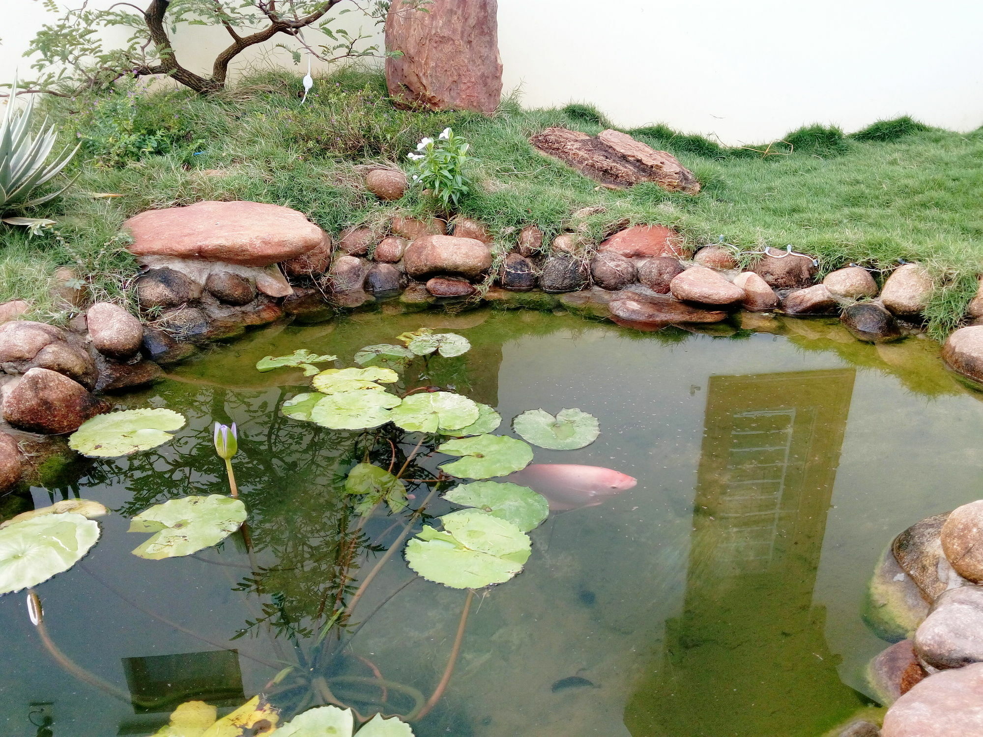 The Field Homestay Hội An Kültér fotó