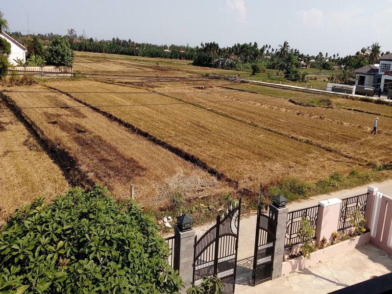 The Field Homestay Hội An Kültér fotó
